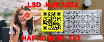 не бодяженный Сланцы