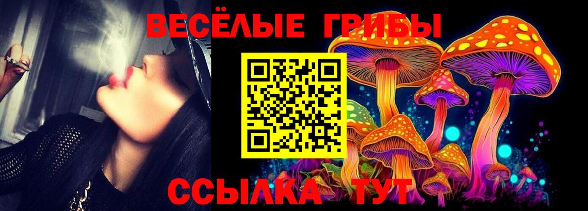 Псилоцибиновые грибы Magic Shrooms  Вход с VPN  Псилоцибиновые грибы Psilocybine cubensis  Новошахтинск 