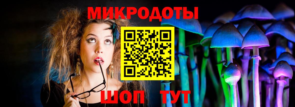 Псилоцибиновые грибы ЛСД Новошахтинск